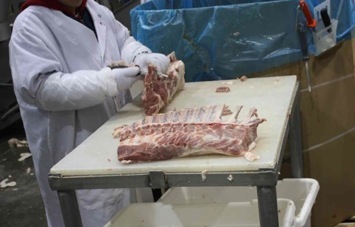 Frenching a small lot of pork loins on a table off the loin line.